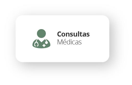 23consulta.png
